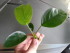 copy_658_20160706_091756.jpg
