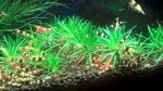 copy_845_WP_20170403_08_21_55_Pro.jpg