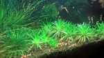 copy_964_WP_20170331_15_08_39_Pro.jpg