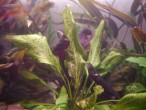 _1050211.JPG