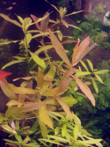 2016-04-21 12.15.56-001.jpg