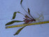20170506_140207.jpg