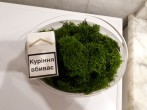 20170515_001132.jpg