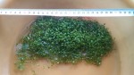 20170516_170416.jpg