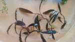 20170516_171025.jpg