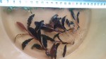 20170516_172154.jpg