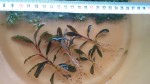 20170516_172747.jpg