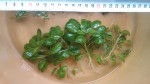 20170516_174113.jpg