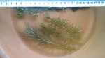 20170516_174432.jpg