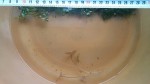 20170516_174723.jpg