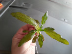 20170517_093759.jpg