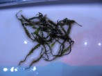 IMG_8205.JPG