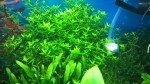 WP_20170510_16_43_12_Pro.jpg