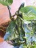 copy_795_20170331_154905.jpg