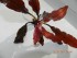 copy_908_DSCN2973.jpg