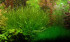 copy_975_copy_395_copy_724_copy_422_copy_648_copy_947_P8240173.jpg