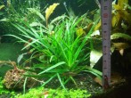 20170602_203921.jpg