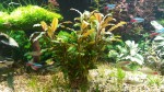 20170605_124230.jpg