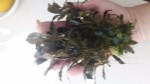 20170605_124344.jpg