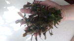 20170605_124409.jpg