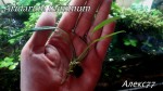 20170608_103445_1496910986519.jpg
