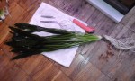 20170615_195043.jpg