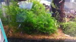 20170622_115411.jpg