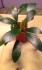 20170628_074156.jpg