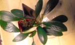 20170628_074252.jpg