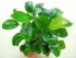 DSCN4915.JPG