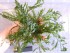 DSCN4927.JPG