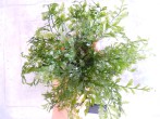 DSCN4934.JPG