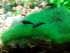 IMG_20170504_092552.jpg