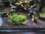 IMG_20170602_153804.jpg