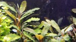 IMG_20170604_153853.jpg