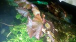 WP_20170625_16_18_56_Pro_LI.jpg