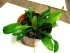 copy_117_copy_956_port-2.jpg