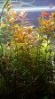 copy_229_20170603220811.jpg