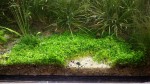copy_290_20170208_180220.jpg