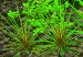 copy_331_copy_1_copy_718_002.jpg