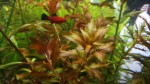 copy_559_20170603220832.jpg