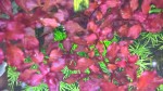 copy_692_copy_550_copy_964_copy_610_copy_295_copy_643_WP_20170421_16_23_39_Pro.jpg