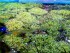 copy_806_20170514_232745.jpg