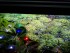 copy_931_20170514_232805.jpg