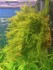 20132620_1702654303096486_1995764026_o.jpg