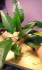 20170628_080042.jpg