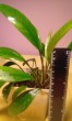 20170712_201145.jpg