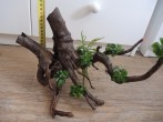 DSCN5659.JPG