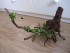 DSCN5663.JPG