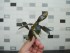 P1010187.JPG